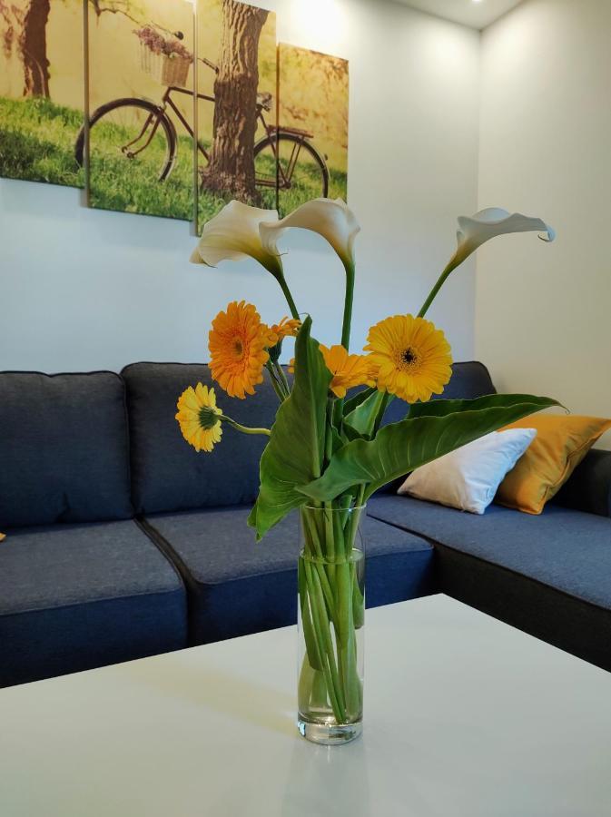 Casa Di Stefano Apartment & Spa Златибор Екстериор снимка